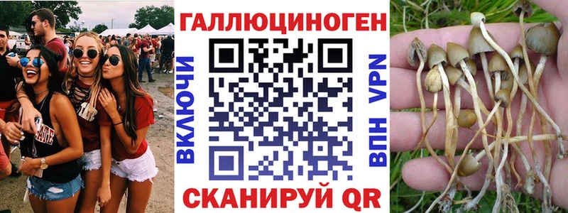 Галлюциногенные грибы Psilocybine cubensis  Купить закладки  Углегорск 